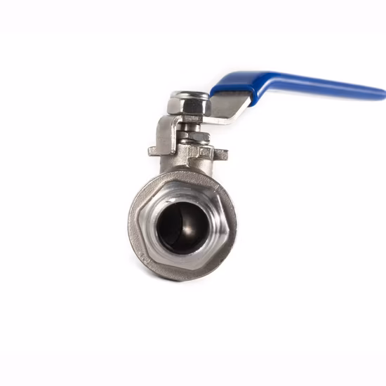 Edelstahl-Sanitär-Sanitaire-Pneumatik-Absperrklappe/Membran/Sicherheitsentlastung/Rückschlagventil/Rückschlagventil/Winkelsitz/Kugelregelventil (JN