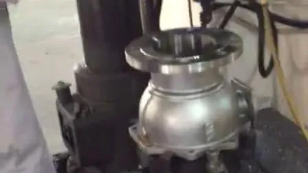 Fabriklieferanten Edelstahl-Gewindeflansch